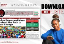 Mass Protest and Union Power: the Path to Real Change